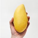 인우인터내셔널
