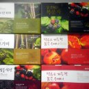 홈플러스건강식품코너