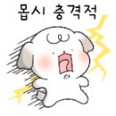 다다하다부산 이미지