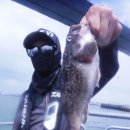 킹콩낚시 이미지