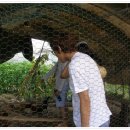 동연농장 이미지