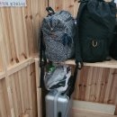 신광여관 이미지