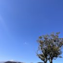 양지-3114 | 머체왓숲길 | 2월제주날씨 | 포토존위치| 편백나무숲길 힐링