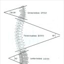 큐브짐 휘트니스 이미지