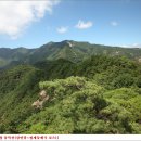 곡성-160 이미지