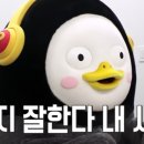 놀이용 이미지