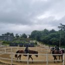 당진 승마장 이미지