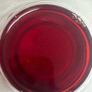 방현어린이공원 | 귀여울만두🥟🌀