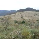 영일만온천 이미지