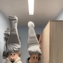 Daum카페