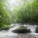 전남 곡성 봉두산 산행사진.. 이미지