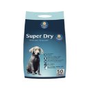 블루클린 이미지