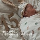 마이리틀제이 | 아기 디데이 우드토퍼 사용후기