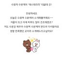 에스케어 이미지