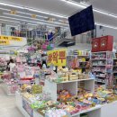 성지마트 | 대구 키티 성지, 키티 천국 반야월 369생활마트 방문 후기