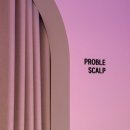 프라블