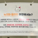 녹지마젤라또
