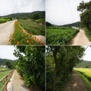 홍천리조텔 이미지