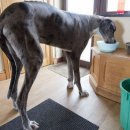 고대1121 이미지