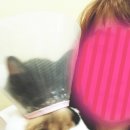 유앤아이동물병원 이미지