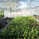 나무네농장 이미지