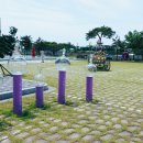 유리섬미술관 이미지