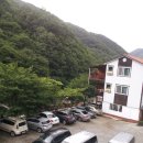 느티나무산장