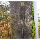 부흥농장 이미지