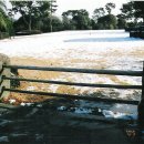 제주랜드 이미지