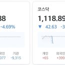 금일