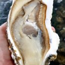 태화물산 이미지