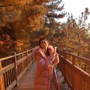 양양하조대일출펜션 이미지