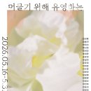 스튜디오유영