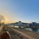 부대찌개애 반햇소 이미지