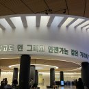커여운 까치호랑이 전시 후기