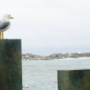 뜨라네민박 이미지