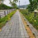 초보 러너 늦잠 자고 2.5km 오후 러닝 후기