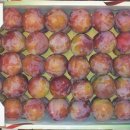 의성 왕자두 10Kg(특) 55,000원에 판매합니다. 이미지