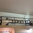 레터스펜션 이미지