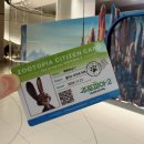 현대비치타운(25003) | 더현대서울 팝업스토어 주토피아 2 주차 일정 예약