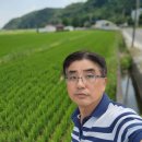 일반성상가(일반성시장) 이미지