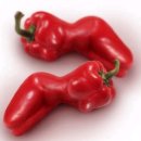 빨간고추 이미지