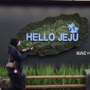 웰컴 | 제주도 태교여행 더 시에나 리조트 비스타 스위트 2박 객실 체크인 웰컴드링크 후기(내돈내산)