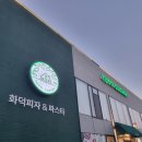 대산나무병원 이미지