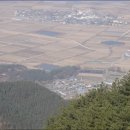 초계시장 이미지