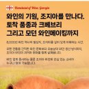 이지베스트교육 | [ 서울 ] 조지아 와인 세미나 강의 테이스팅 세미나 행사 참석 후기