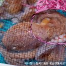 통영중앙전통시장 이미지