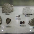 지질박물관 이미지