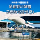 고래창고 울진점 | 국립해양과학관 울진 아이와 가볼만한 곳 VR•무료전시체험