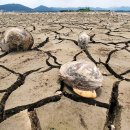 탑정호가 이미지